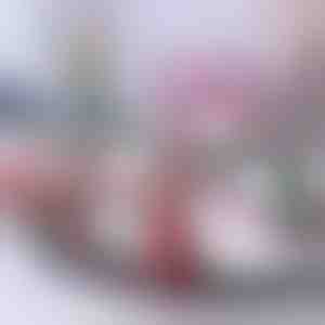 Vánoční vlak | TRAINMAS