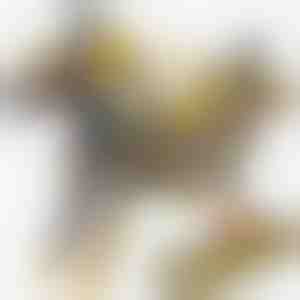 Magnetická hračka – dinosauří auto | ROARWHEEL